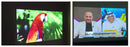 Projetor VEVSHAO V80 – 4K, Full HD, Android 11 e Wi‑Fi 6