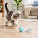 Gato brincando com bola interativa recarregável